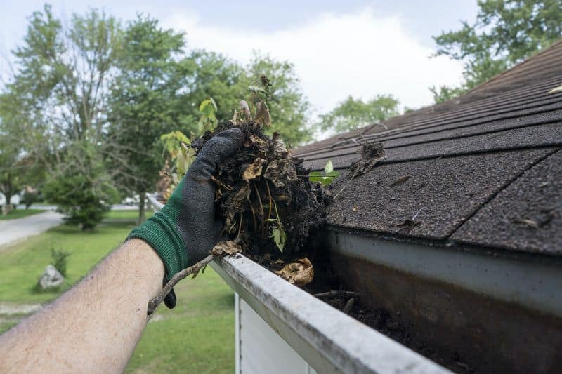 Gutter Cleaning by Hand