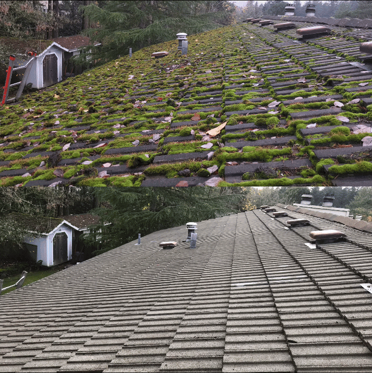 mossy roof before and after